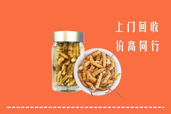收购行情：泰安市肥城市回收冬虫夏草